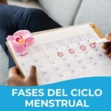 Fases del ciclo menstrual