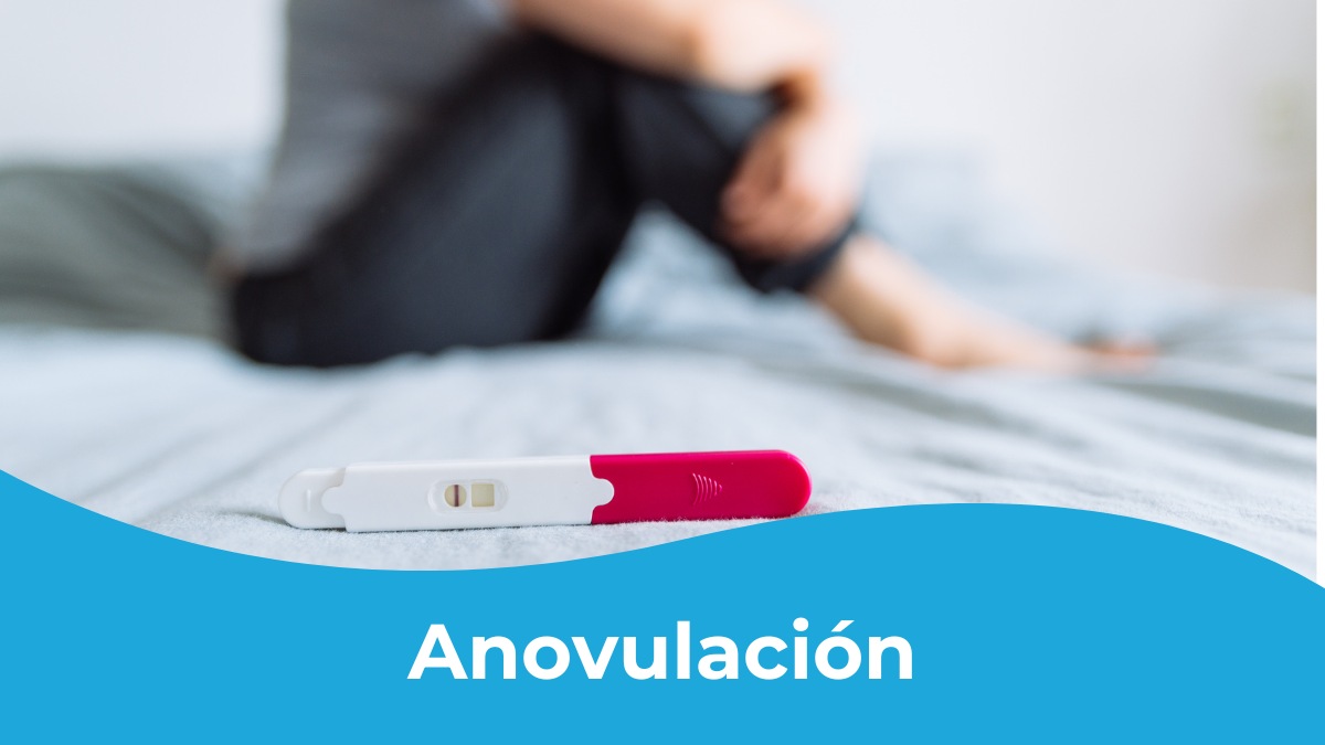 anovulacion-que-es-sintomas-tratamiento-madrid.jpg